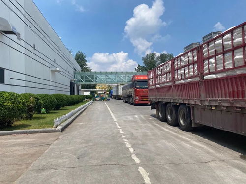 郑州放晴 两大食品巨头恢复生产 厂门口排满运输车辆